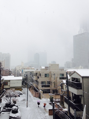 東京は雪