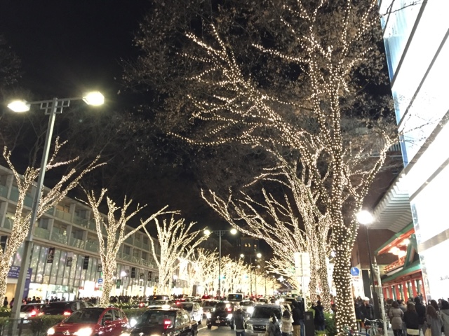 衆議院選挙 衆議院選挙