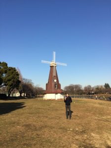 浮間公園内の風車