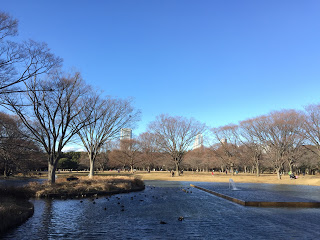 2018年の代々木公園噴水池