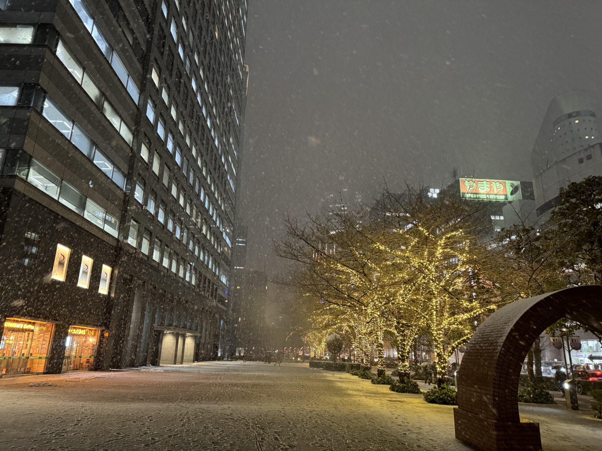 読んだ本のリスト、感想